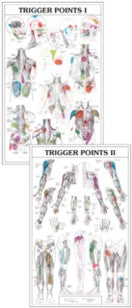 Tigger Point Chart Set